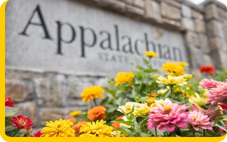 App State sign and flowers